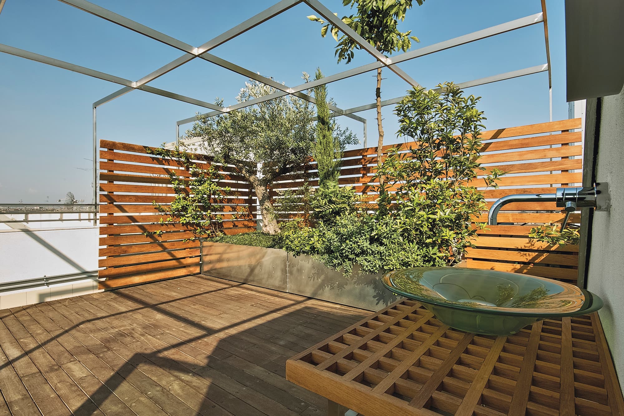 Wildblumen für Balkon und Terrasse