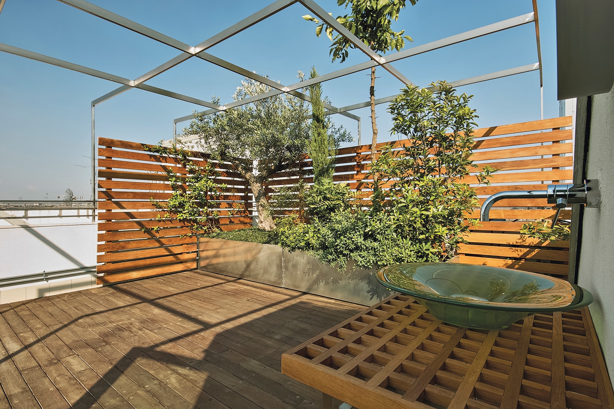 Wildblumen für Balkon und Terrasse